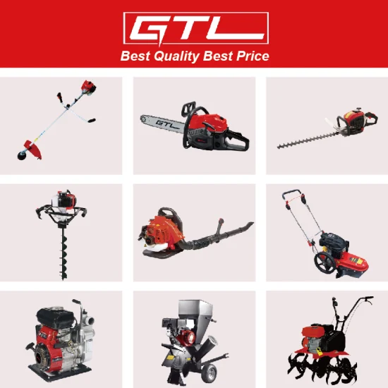 2 Stroke Petrol Leaf Blower Gasoline Engine Garden Tools Backpack Air Blower (GB430)